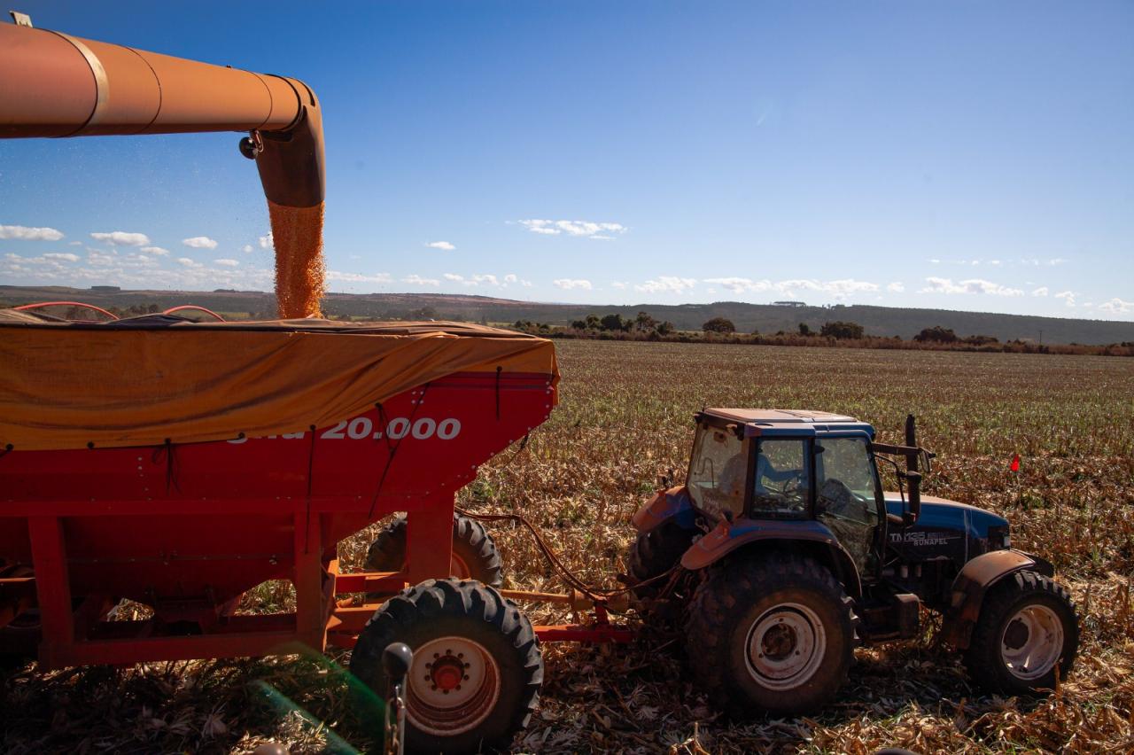 Goiás se torna o terceiro maior produtor de grãos do Brasil, superando o Rio Grande do Sul