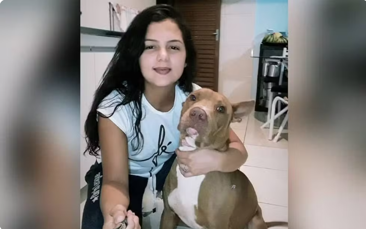 Pit bull mata tutora dentro de casa em Cidade Ocidental