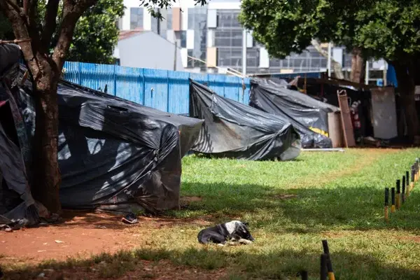 GDF sanciona lei que regulamenta acolhimento e internação involuntária para pessoas em situação de rua