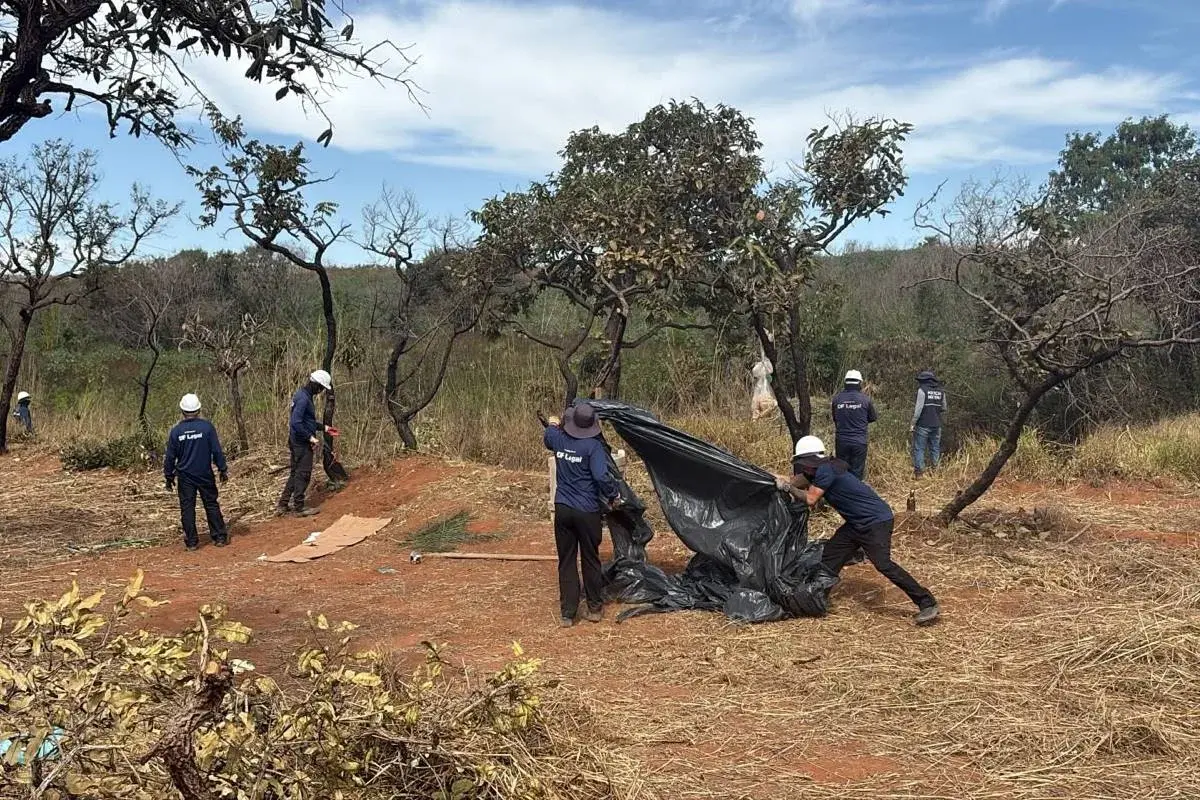 Nova tentativa de grilagem mobiliza invasores em área de preservação próxima à Estrutural